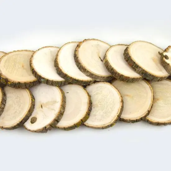 Wilson&reg; Enterprises 16 Pack Natural Basswood Round {3}