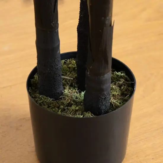 6ft. Artificial Halloween Black Golden Cane Tree {7}