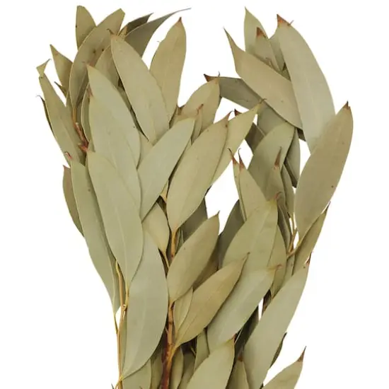 21" Amber Fruit Foliage Bundle by Ashland&reg; {3}