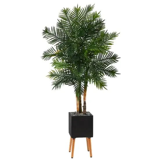 70" Areca Palm Tree in Black Planter with Stand {1}
