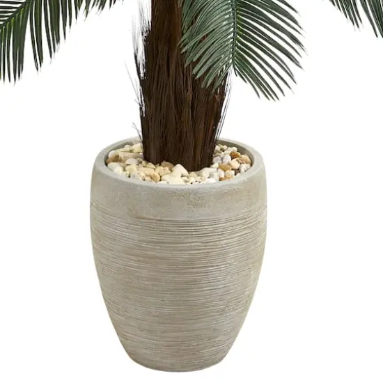 4.5ft. Cycas Tree in Oval Planter {4}