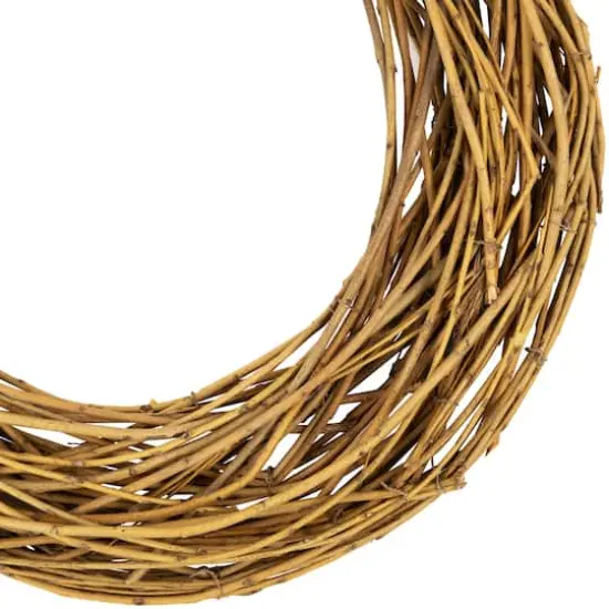 15" Unlit Natural Grapevine & Twig Artificial Spring Wreath {4}