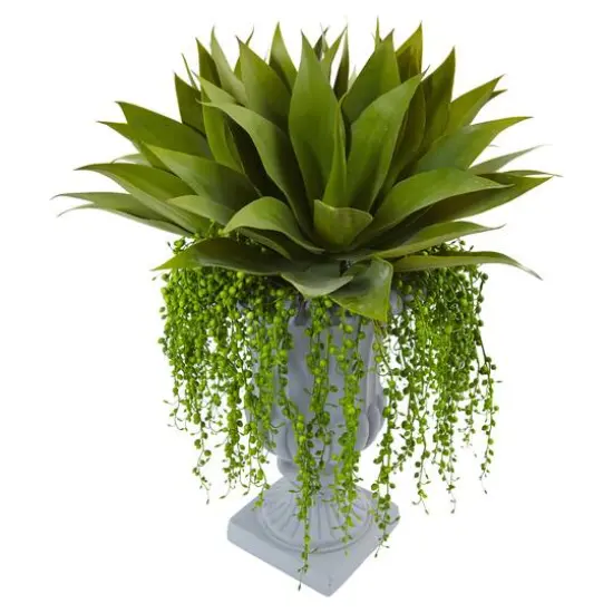 27" Agave & Senecio Succulent Arrangement in Decorative Planter {4}