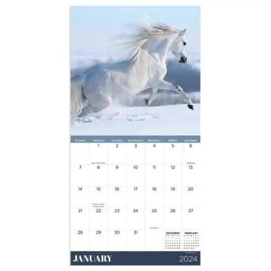 TF Publishing 2024 Horses Mini Calendar {4}