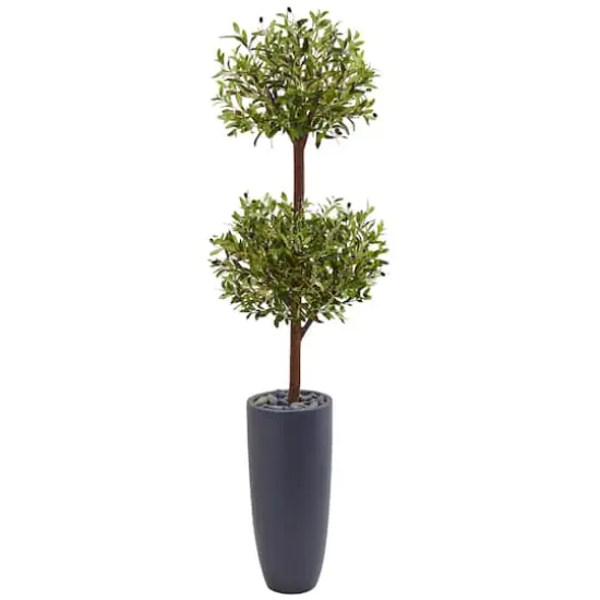 6ft. Double Olive Tree in Gray Planter {1}