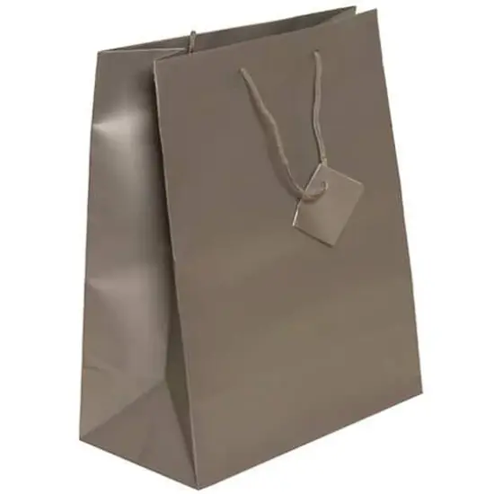 JAM Paper Large Matte Gift Bag, 3ct. Silver {1}