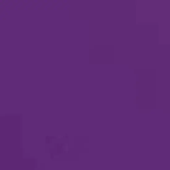 ORACAL&reg; 651 Permanent Adhesive Vinyl Violet 040 {1}