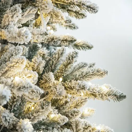 10ft. Pre-Lit Flocked Fir Artificial Christmas Tree, Warm White Lights {6}