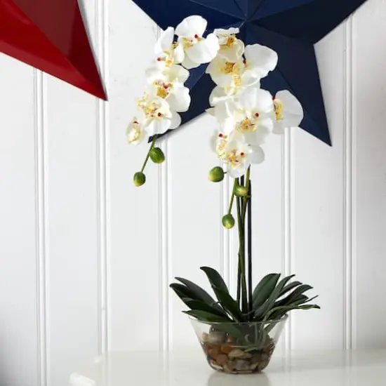 18" White Orchid Arrangement in Glass Vase {5}