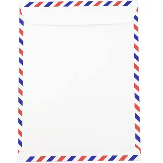 JAM Paper 9" x 12" White Airmail Envelopes {3}