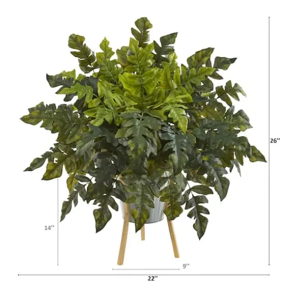 2ft. Holly Fern Plant in Green Planter with Stand {3}