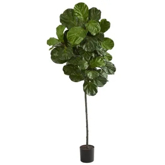 6.5ft. Potted Fiddle Leaf Tree {1}