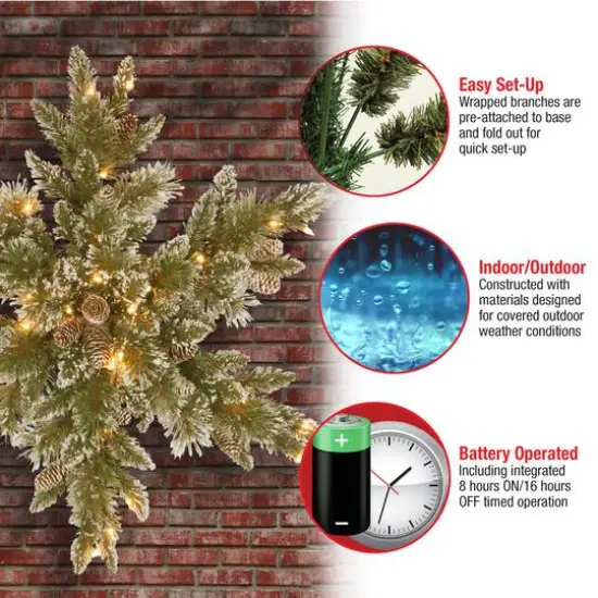 32" Glittery Bristle&reg; Pine Snowflake with White Tipped Pine Cones & Warm White LED Lights {6}