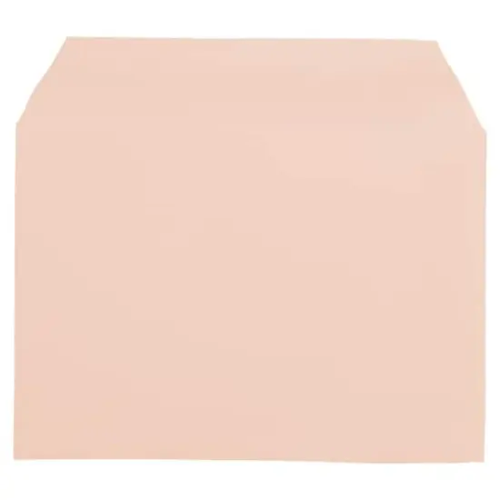 JAM Paper 5.063" x 7.188" Cello Sleeves with Self Adhesive Closures, 100ct. Peach {5}
