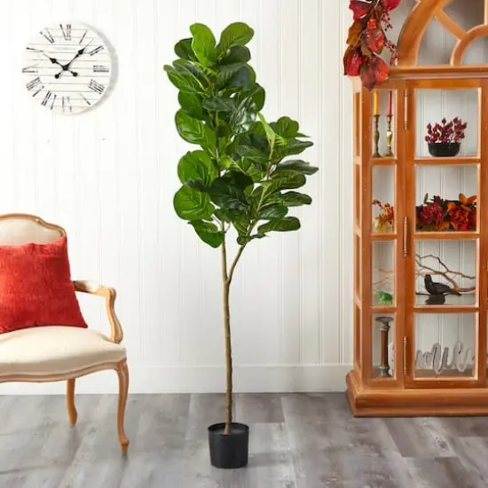 4.5ft. Potted Fiddle Leaf Fig Tree {4}