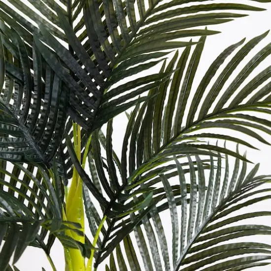 6ft. Potted Double-Stalk Golden Cane Palm Tree {4}