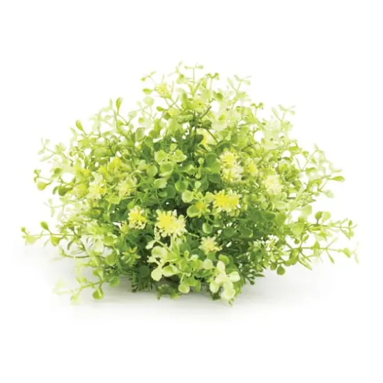 Mini Leaf Foliage Half Orbs, 2ct. {1}