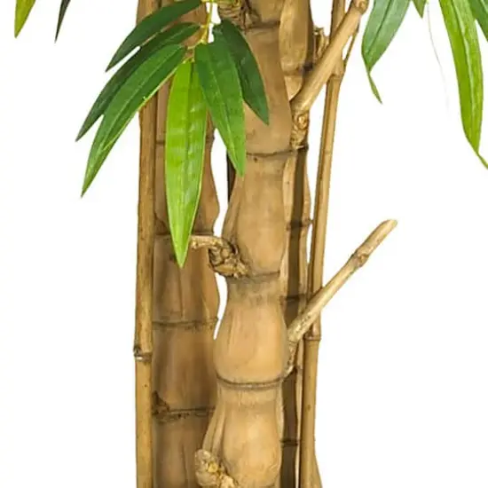 6ft. Potted Belly Bamboo Tree {4}