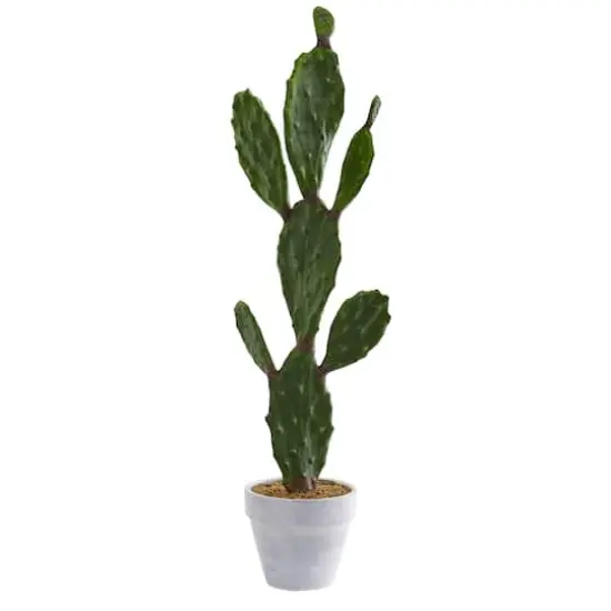 3ft. Cactus Plant in White Planter {1}