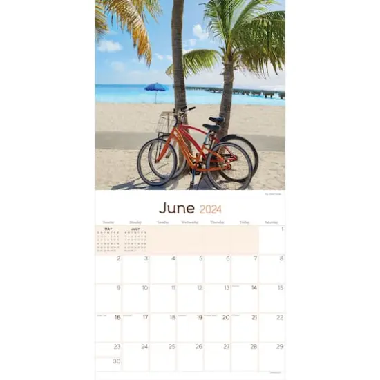 TF Publishing 2024 Beach Life Wall Calendar {4}