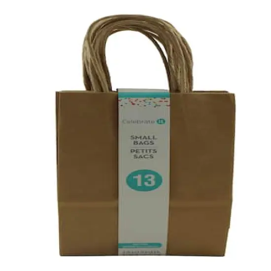 Kraft Small Gift Bags by Celebrate It&trade; {6}