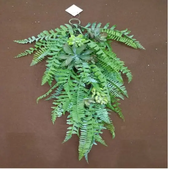 28" Leaves & Succulents Teardrop Swag {4}