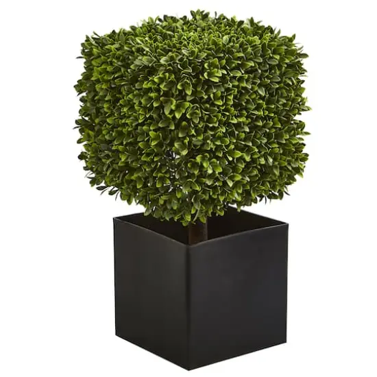 27" Boxwood Artificial Plant in Black Planter {1}