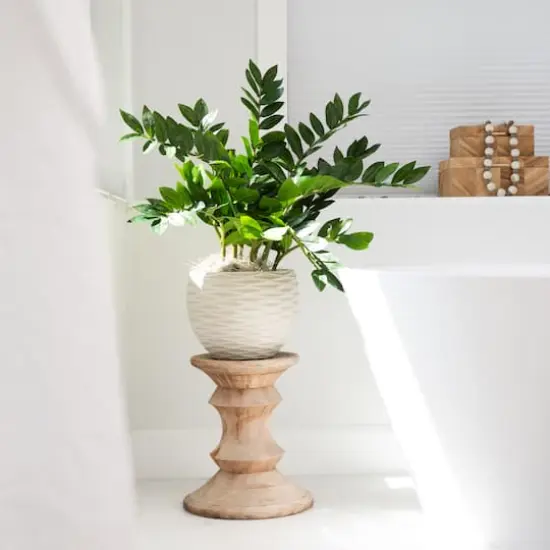 28" Artificial Zamioculcas Plant with Decorative Planter {4}
