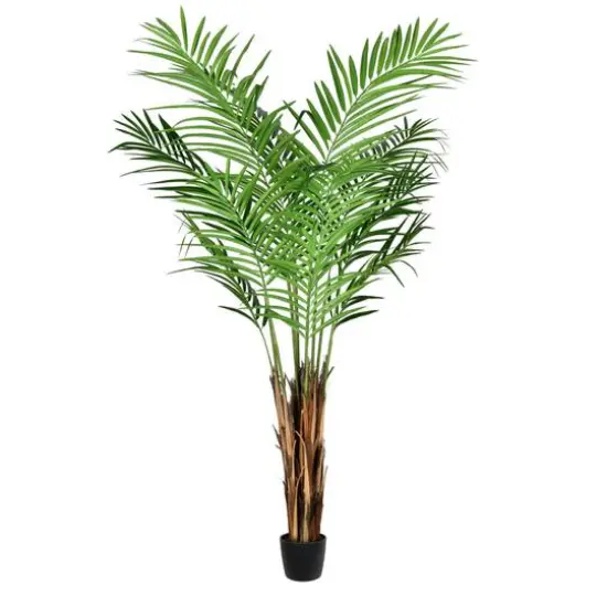 5ft. Potted Giant Areca Palm Tree {1}