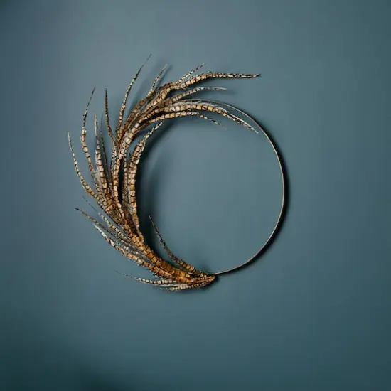 29" Faux Pheasant Feather Picks, 12ct. {4}