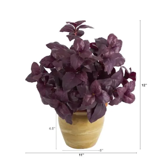 12" Basil Plant in Ceramic Planter {3}