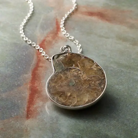 Fossil Shell Pendant by Bead Landing&trade; {3}