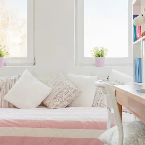 Poly-Fil&reg; 20" x 20" Basic Pillow Inserts, 2ct. {5}