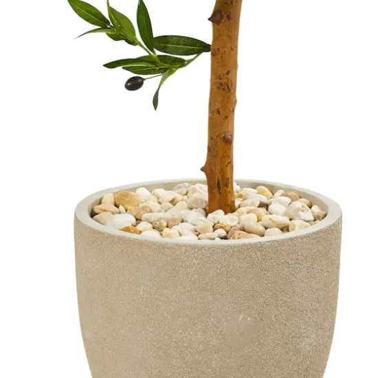 3.5ft. Olive Topiary Tree in Sand Stone Planter {4}