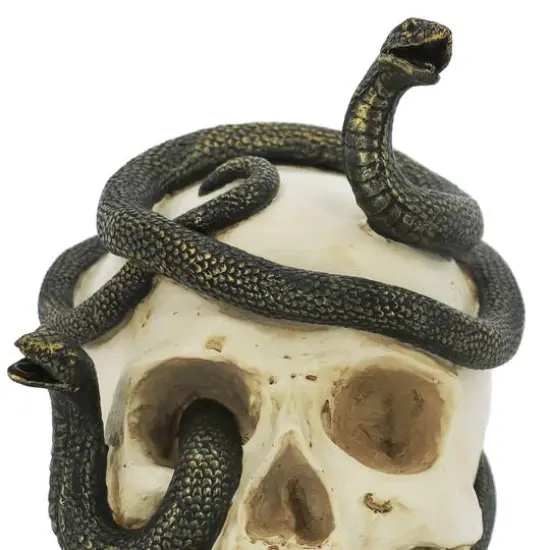 7.25" Snake-Entwined Skull Tabletop D&eacute;cor by Ashland&reg; {3}