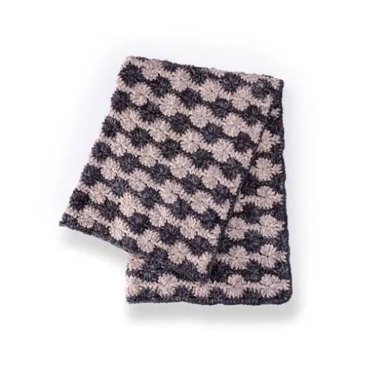 2 Pack Bernat&reg; Blanket Mist-ical&trade; Yarn Phlox {4}