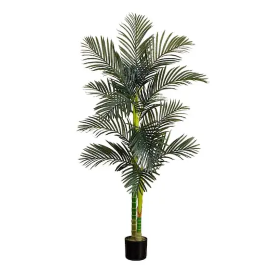 6ft. Potted Double-Stalk Golden Cane Palm Tree {1}