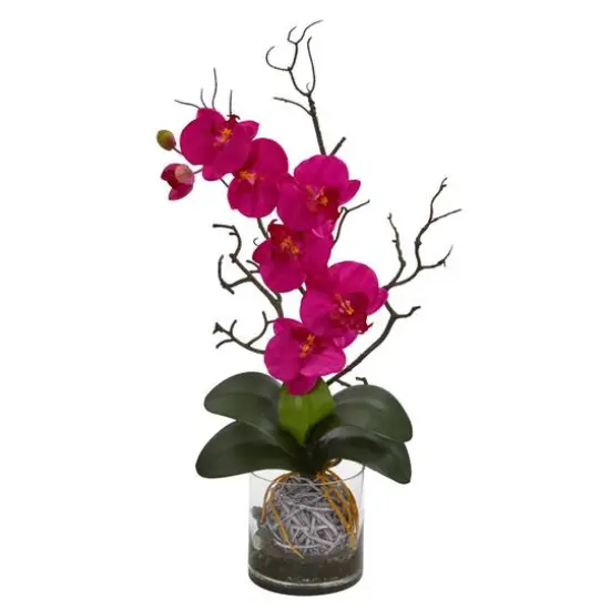 24" Moth Orchid in Clear Vase Pink {1}