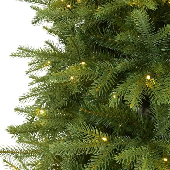 6ft. Pre-Lit Vancouver Fir Natural Look Artificial Christmas Tree, Clear LED Lights {4}