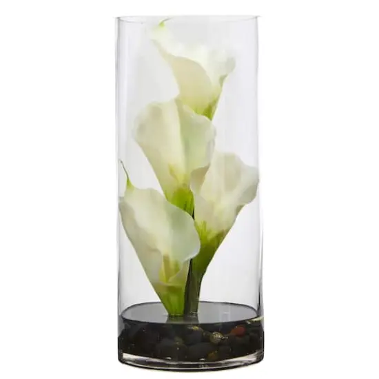 14" Cream Calla Lily In Cylinder Glass Vase {1}