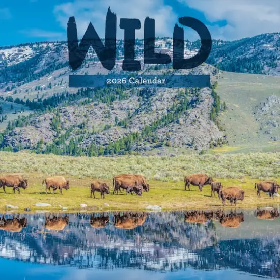 2026 Wild Wall Calendar {1}