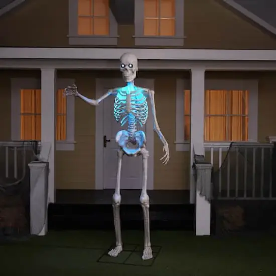 8ft. Skeleton by Ashland® {5}