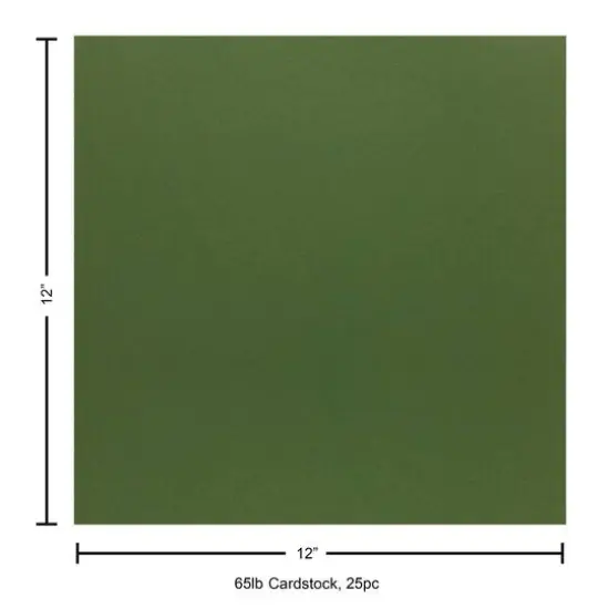 PA Paper&trade; Accents 12" x 12" 65lb. Cardstock, 25 Sheets Parrot {5}