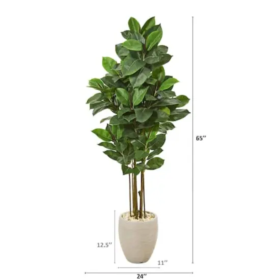 5ft. Rubber Leaf Tree in Sand Colored Planter {3}