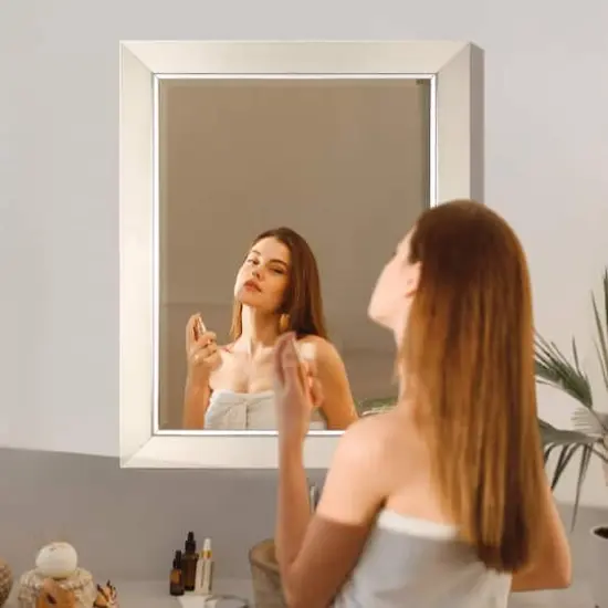 Head West Brushed Nickel With Chrome Inner Lip Beveled 27.5" x 33.5" Framed Accent Vanity Mirror {3}