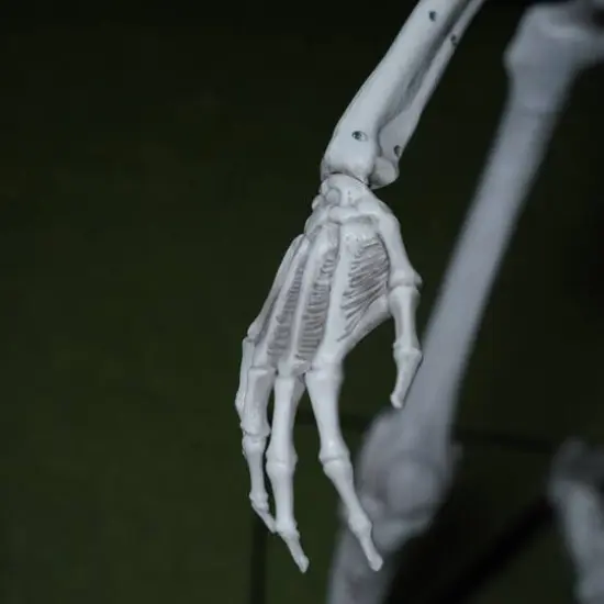 5ft. Skeleton with Red Light-Up Eyes by Ashland&reg; {6}