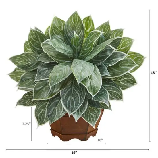 18" Chinese Evergreen Plant in Decorative Planter {4}