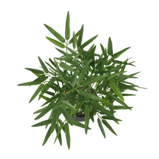 19" Green Foliage Artificial Plant with Black Pot {4}
