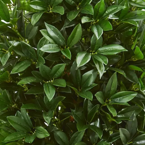 4.7ft. UV Resistant Bay Leaf Cone Topiary Tree in Slate Planter {3}