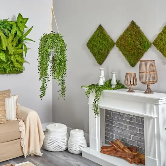 4ft. Honey Locust Plant in Hanging Metal Bucket {5}